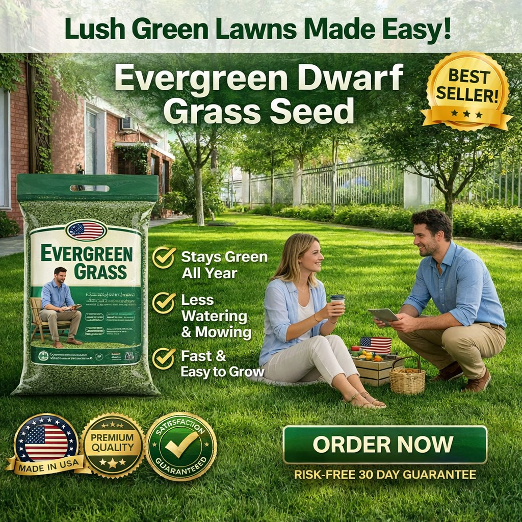 /6a0733c45c6c040009c6f3b1/2026/05/15/product-img-6a0737e3f3feac0736ad57b7.png